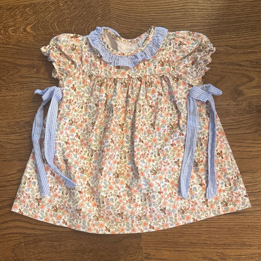 Floral Cecil & Lou Dress with Blue Gingham Accent Bows And Collar